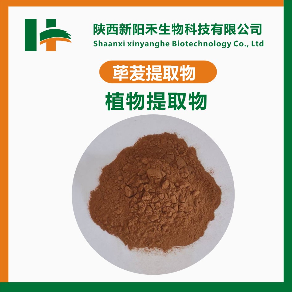 荜茇提取物荜拨提取物荜茇粉