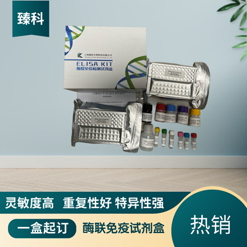 小鼠胶原酶I(Collagenase I）ELISA试剂盒