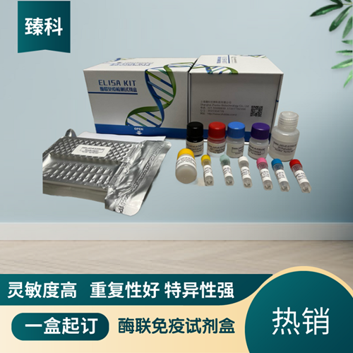 小鼠骨粘连蛋白(ON）ELISA试剂盒