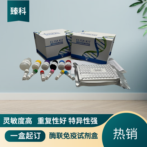 小鼠高敏三碘甲状腺原氨酸(u-T3）ELISA试剂盒