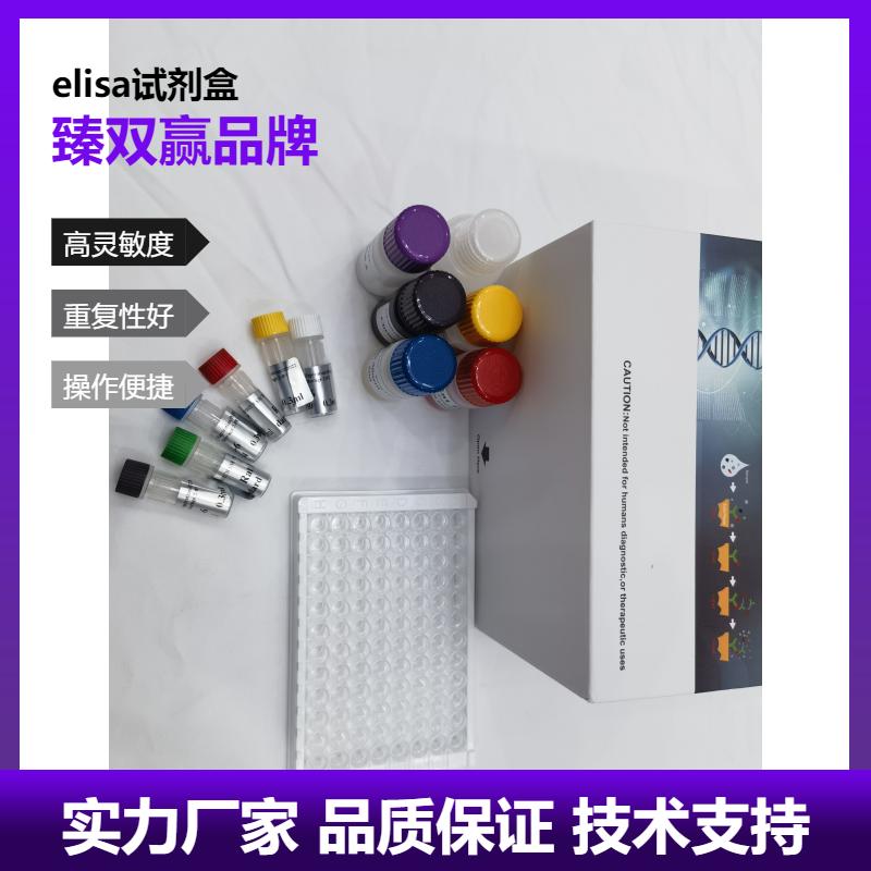 大鼠氢离子；肽转运蛋白1(HPEPT1)ELISA试剂盒