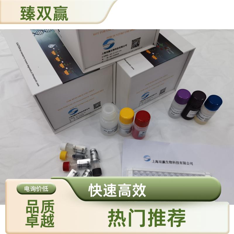 大鼠钠尿肽受体2(NPR2)ELISA试剂盒