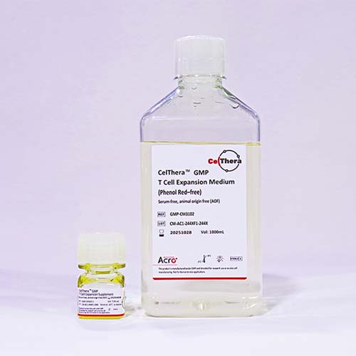 GMP级别T细胞培养基-百普赛斯