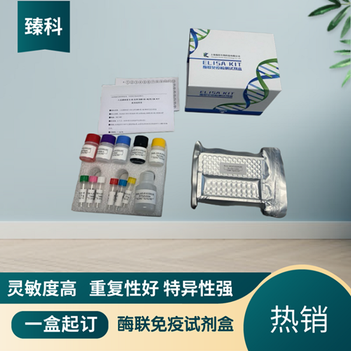 小鼠可溶性CD30配体(sCD30L）ELISA试剂盒