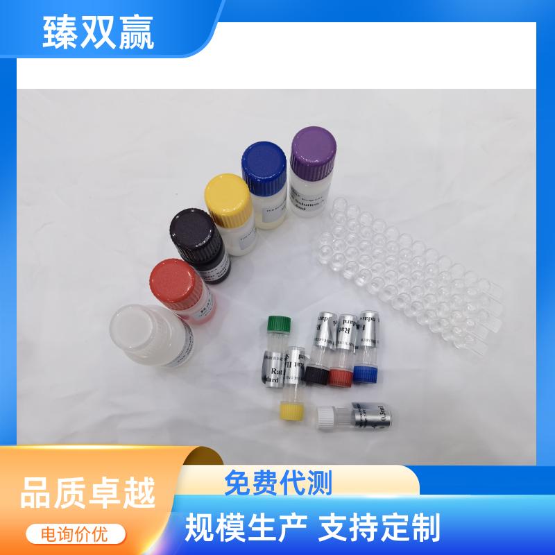 大鼠干扰素诱导T细胞趋化因子(ITAC;CXCL11)