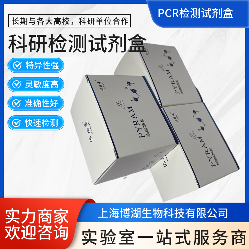 牛传染性鼻气管炎病毒染料法荧光定量PCR试剂盒