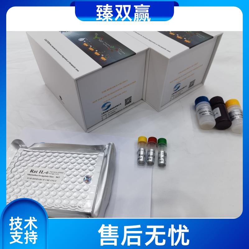 大鼠肌骨素(Myostatin)ELISA试剂盒