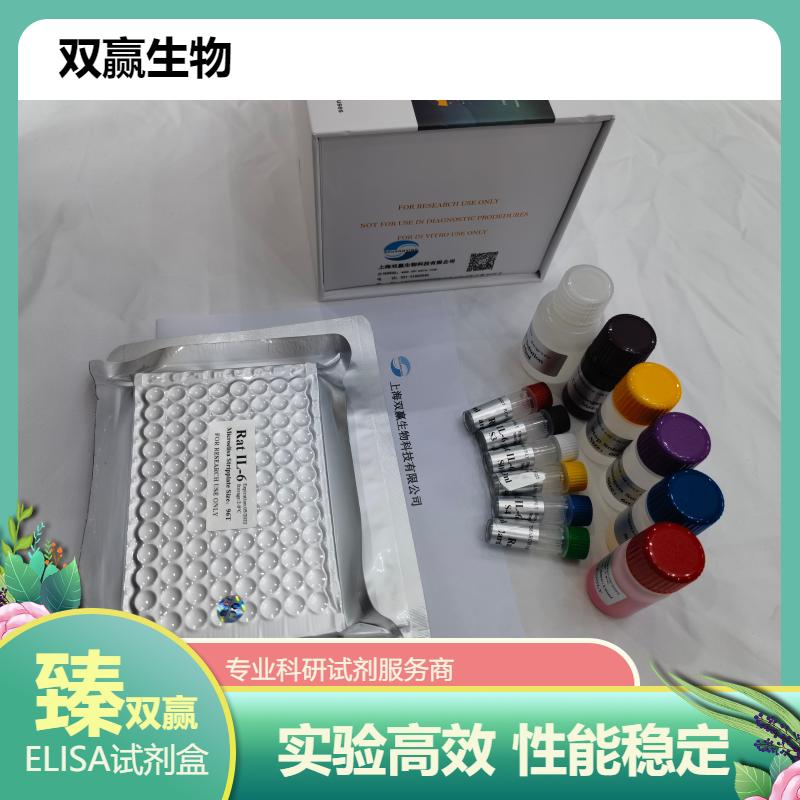 大鼠肌肉细胞特异性泛素蛋白连接酶1(MuRF1)ELISA试剂盒