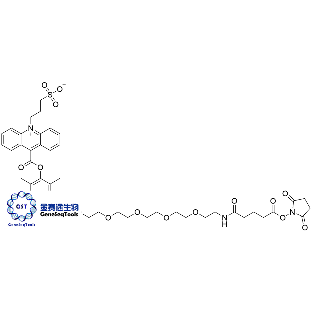 1253933-74-2 NSP-DMAE-HEG-Glu-NHS | N-磺丙基二甲基吖啶酯六乙二醇戊二酸酯 N-羟基琥珀酰亚胺