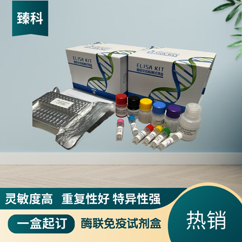 大鼠肌红蛋白(MYO/MB）ELISA试剂盒