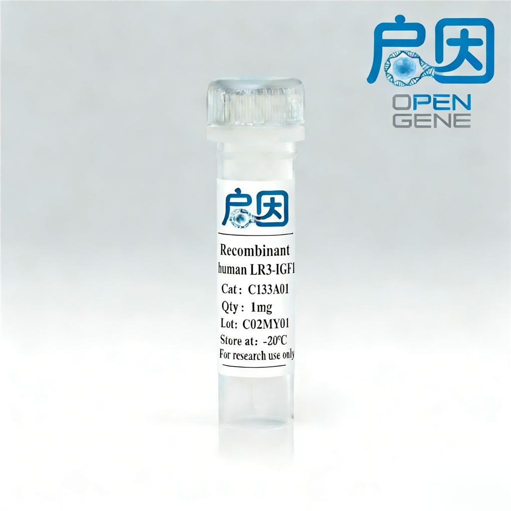 重组人 LR3 胰岛素样生长因子 - 1 Recombinant Human LR3 Insulin-like Growth Factor-1