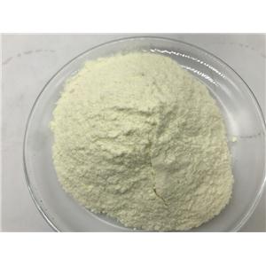 咖啡酸 331-39-5 含 量HPCL≥99.0% 用于医药中间体