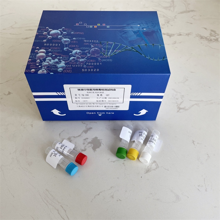 丙酮酸磷酸双激酶（PPDK）活性测定试剂盒