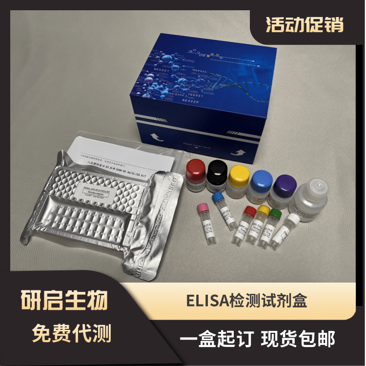 Ca2+ Mg2+—ATP酶试剂盒
