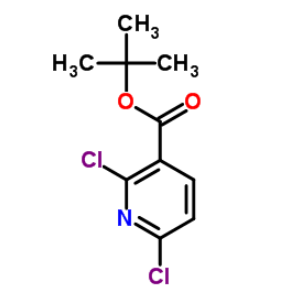 2,6-二氯烟酸叔丁酯；1013647-75-0