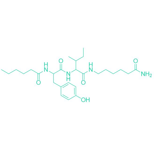 218P134 Dihexa 1401708-83-5.png