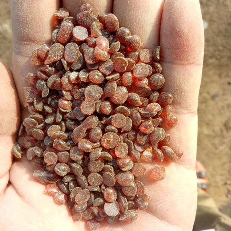 防老剂RD 橡胶轮胎可用 防护老化 防老剂TMQ26780-96-1