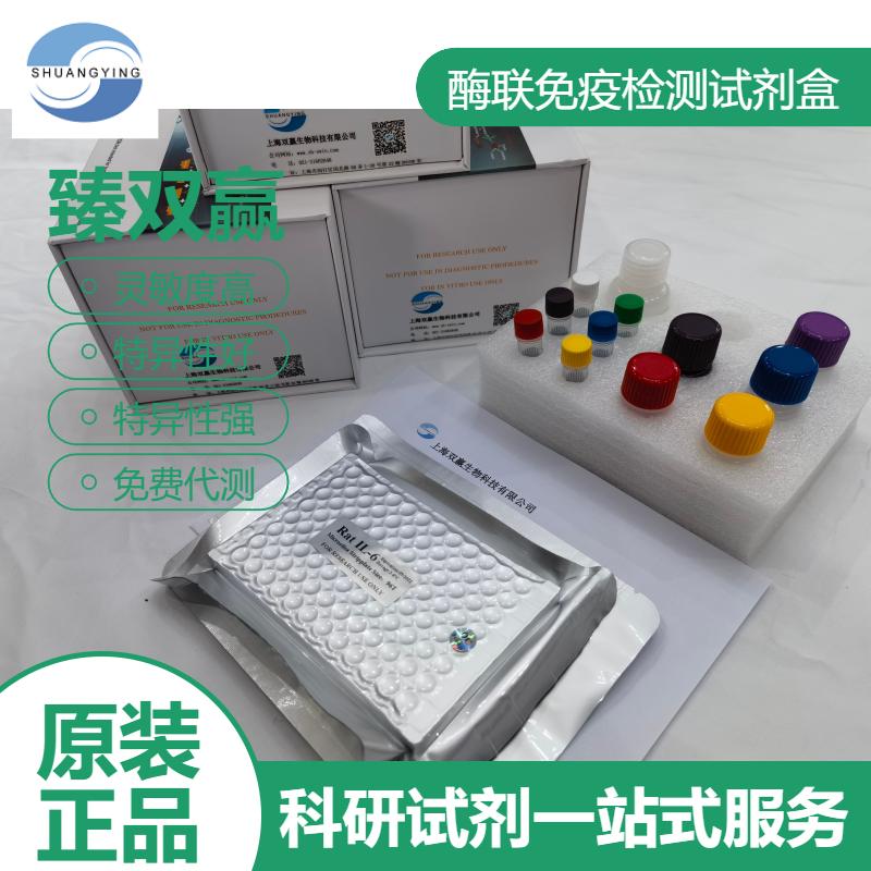 大鼠肌肉烟碱胆碱能受体α1(CHRNα1)ELISA试剂盒