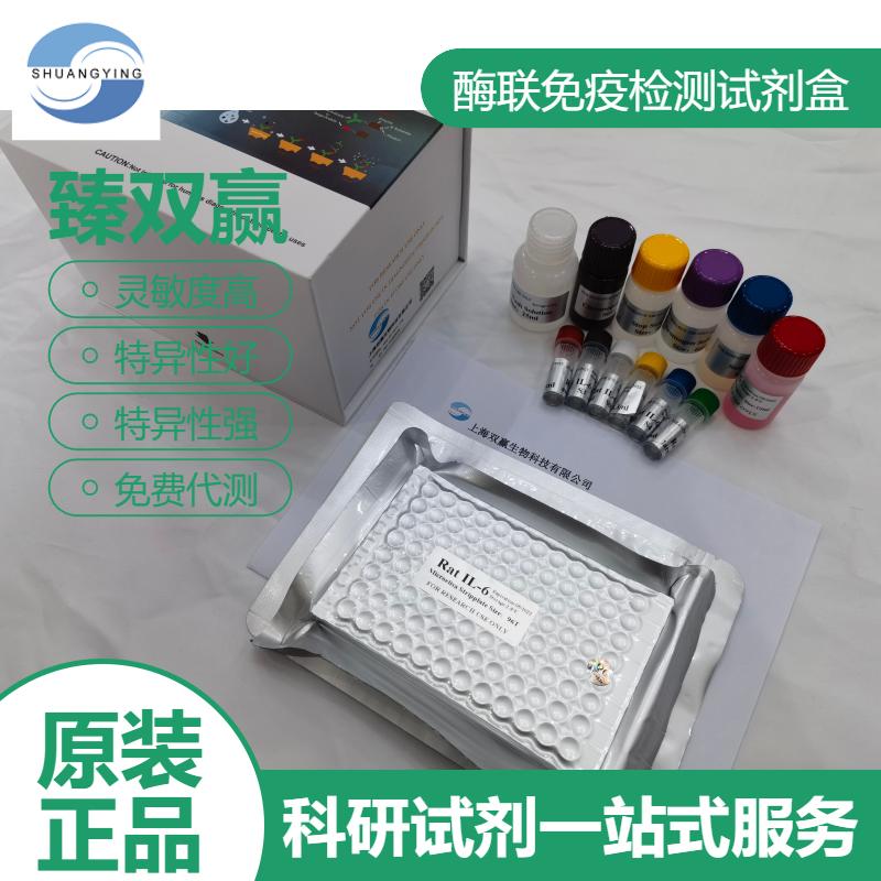 大鼠P糖蛋白;渗透性糖蛋白(P-gp)ELISA试剂盒