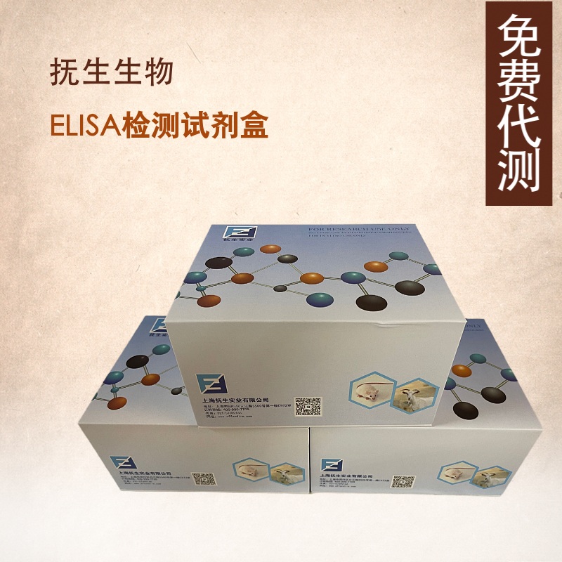 人组织因子(TF)ELISA试剂盒