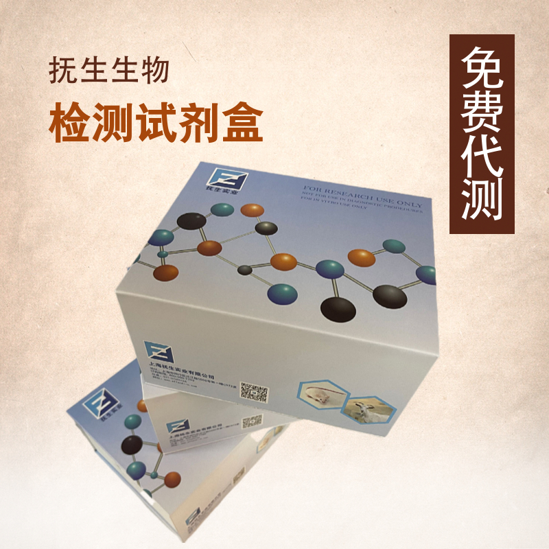 人干细胞因子(SCF)ELISA试剂盒