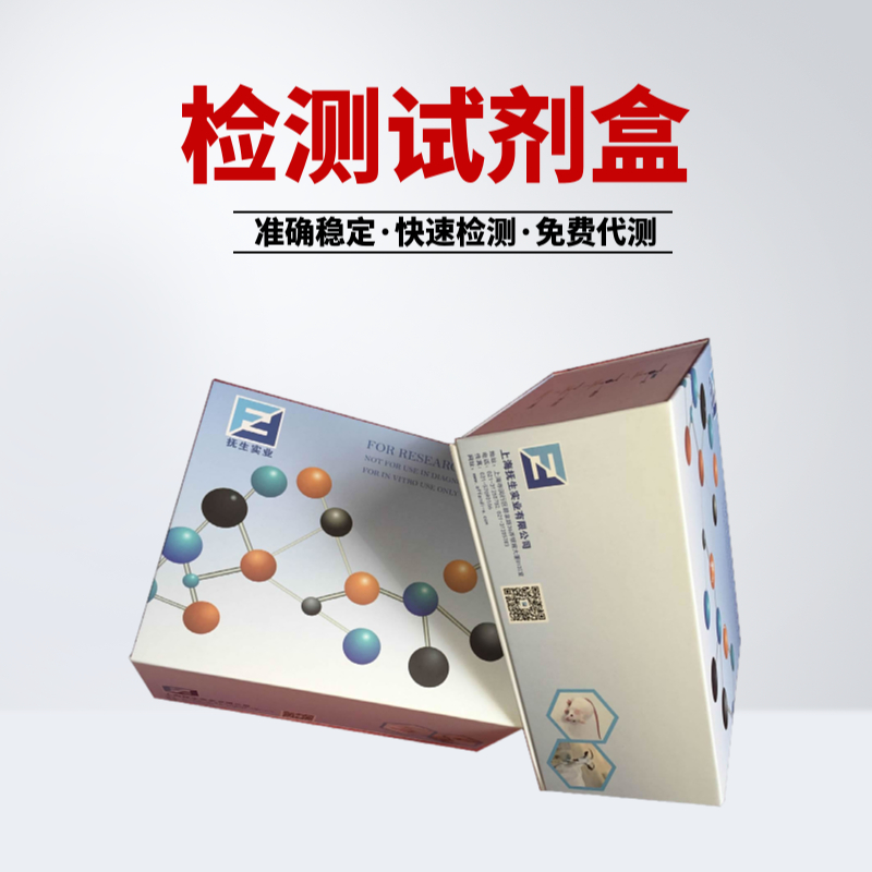 人干细胞因子(SCF)ELISA试剂盒