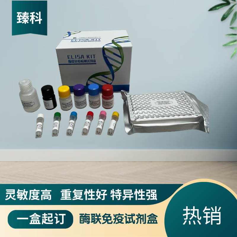 小鼠细胞色素C(Cyt-C）酶联免疫ELISA试剂盒