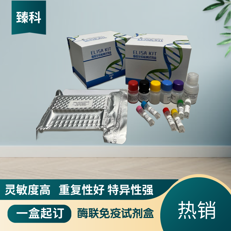 小鼠雌二醇(E2）酶联免疫ELISA试剂盒