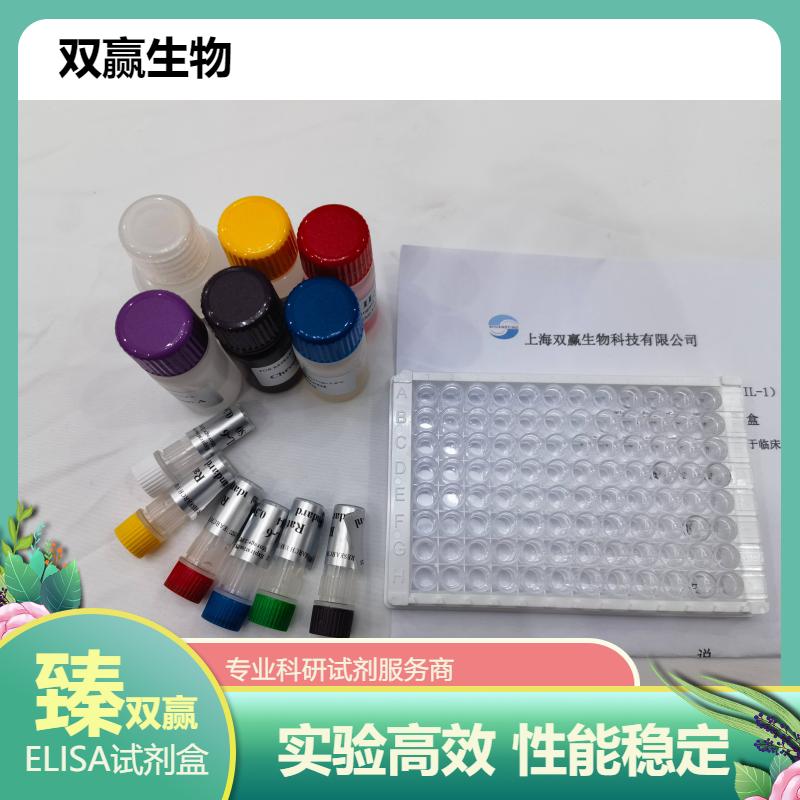 大鼠过氧化物酶体增殖物激活受体α(PPAR-α)ELISA试剂盒