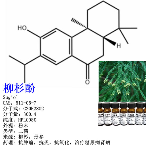 柳杉酚 511-05-7