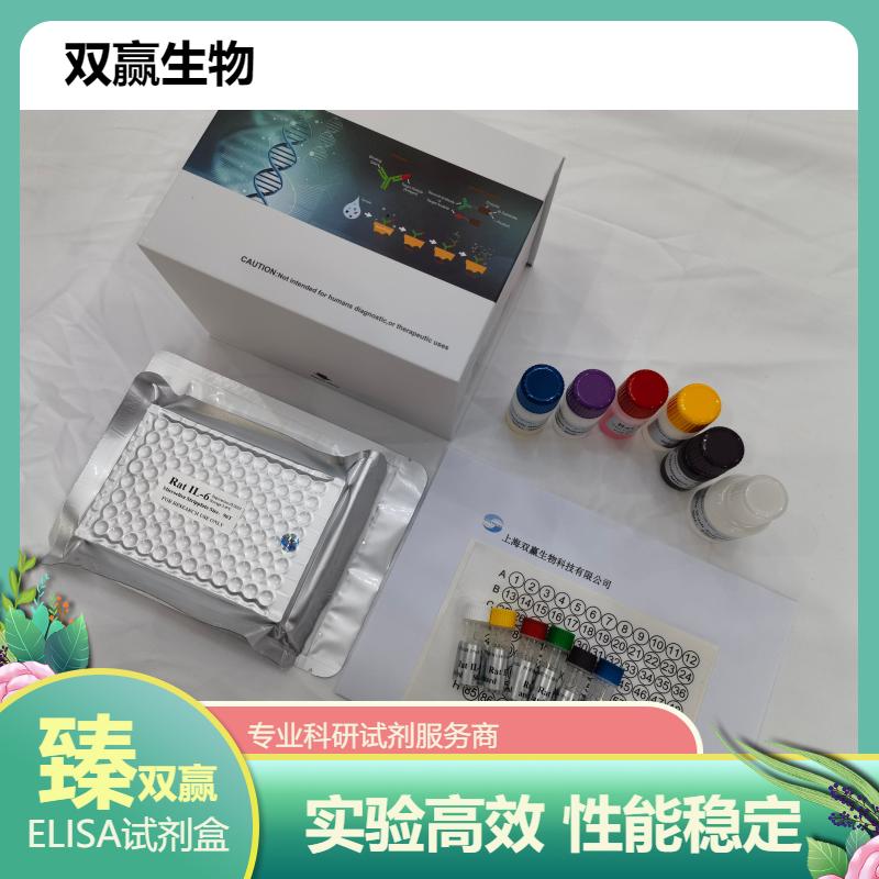  大鼠内皮素1(ET-1)ELISA试剂盒
