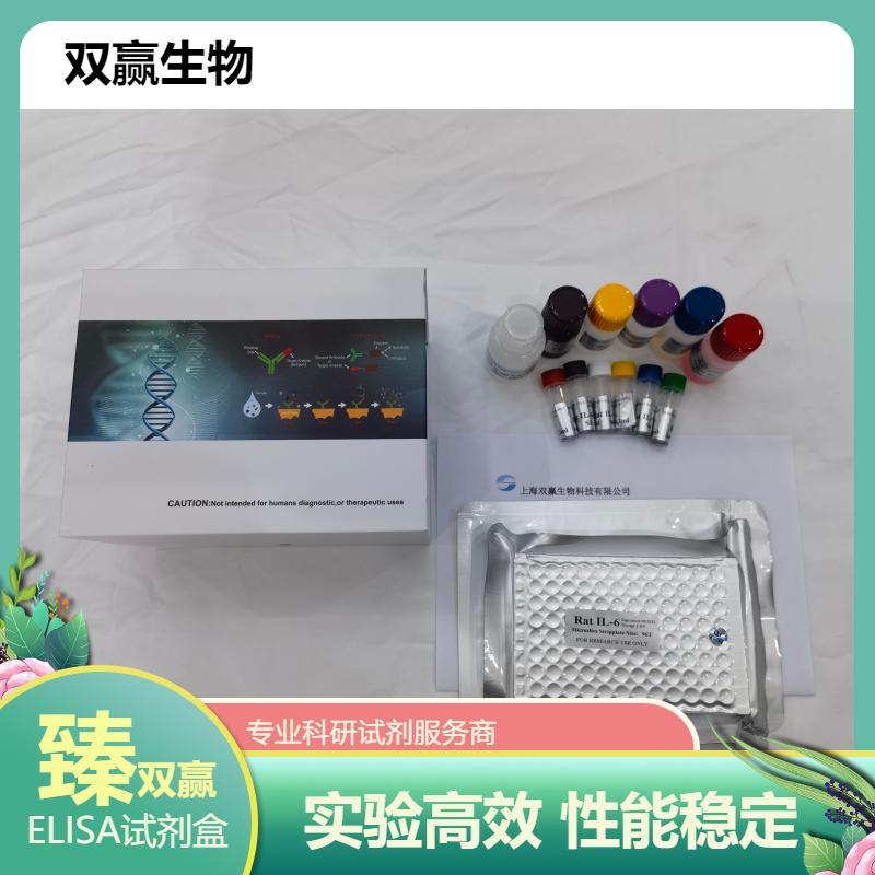  大鼠生长抑素(SS)ELISA试剂盒