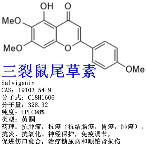 三裂鼠尾草素 19103-54-9