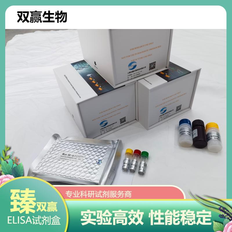  大鼠甘丙肽/甘丙素(GAL)ELISA试剂盒