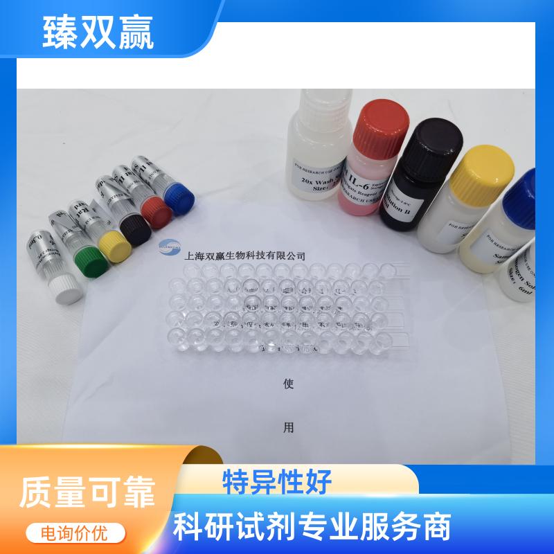 大鼠白介素24(IL-24)ELISA试剂盒