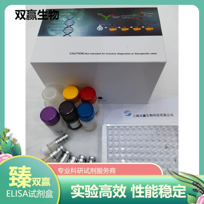 大鼠5- 甲基胞嘧啶(5mC)ELISA试剂盒