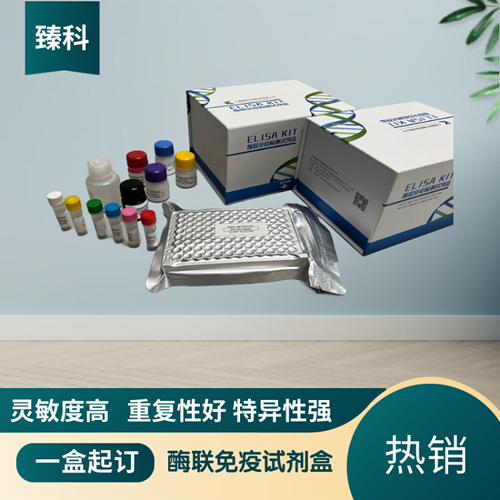 大鼠白介素3(IL-3）ELISA试剂盒