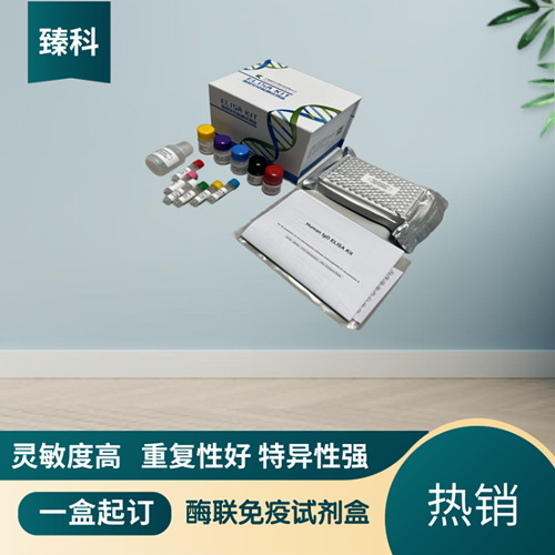 大鼠白介素5(IL-5）ELISA试剂盒