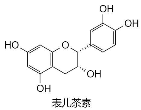 表儿茶素，质量保证，不满意就退款是我们的承诺
