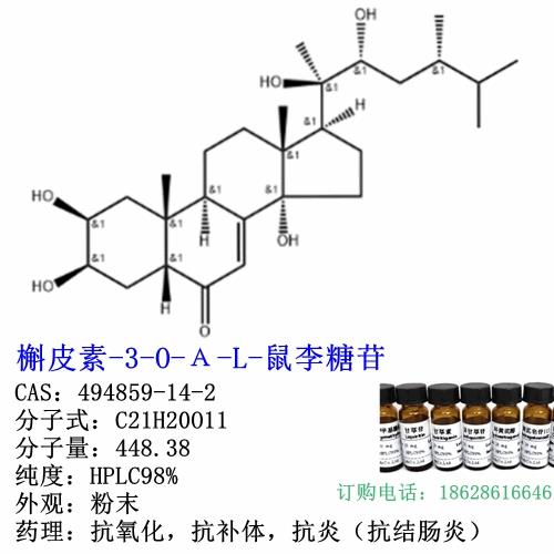 槲皮素-3-O-Α-L-鼠李糖苷_副本.jpg