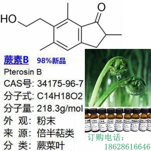 蕨素B-副本.jpg 蕨素B-副本.jpg