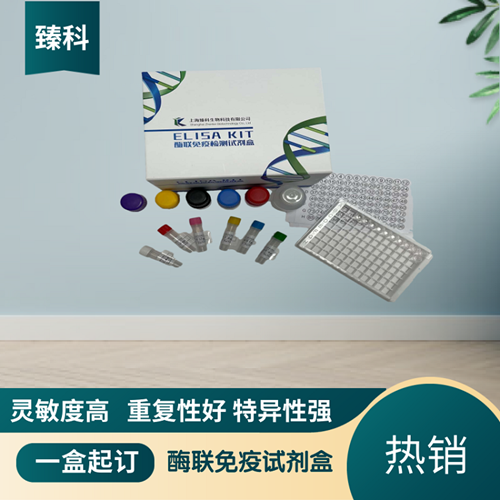 大鼠白介素2可溶性受体β链(IL-2sRβ）试剂盒