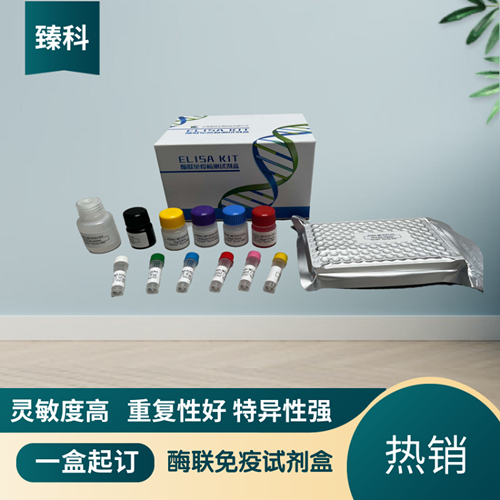 大鼠单核细胞趋化蛋白3(MCP-3/CCL7）ELISA试剂盒