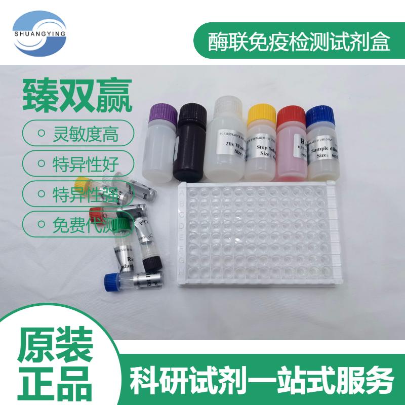 大鼠甲基胞嘧啶双加氧酶(TET1)ELISA试剂盒