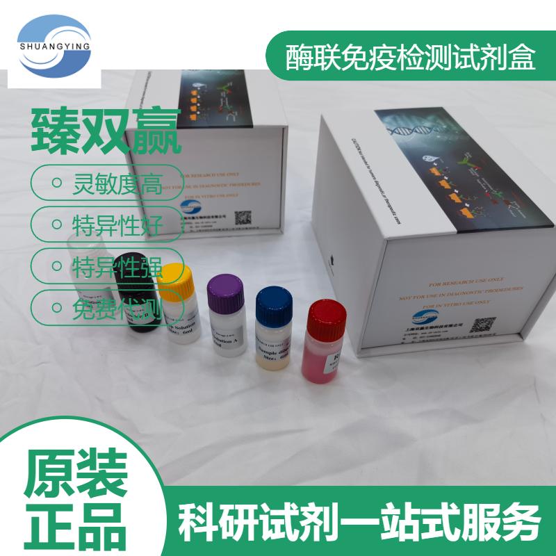 大鼠尾加压素2(UST2)ELISA试剂盒