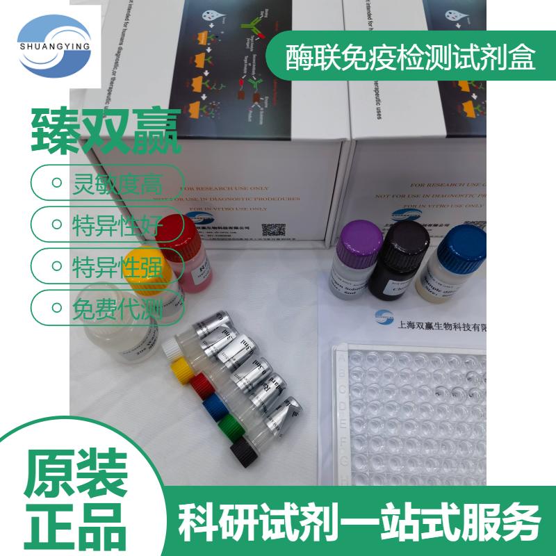 大鼠精胺合成酶(SRM)ELISA试剂盒
