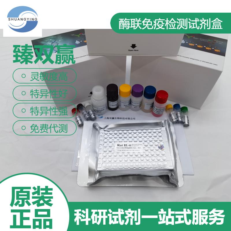 大鼠亚精胺合酶(SPDS)ELISA试剂盒