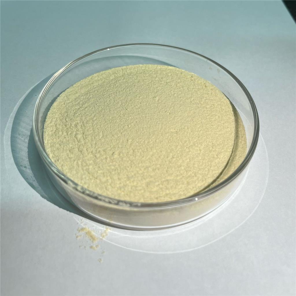 壳聚糖盐酸盐 70694-72-3 脱乙酰度95.0% 食品级