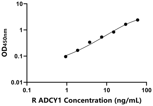 ADCY1 ELISA KIT / 大鼠腺苷酸环化酶1 ELISA试剂盒  