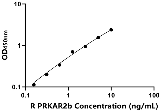 PRKAR2b ELISA KIT / 大鼠cAMP依赖性蛋白激酶调节因子Ⅱβ ELISA试剂盒  